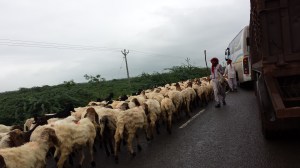 Road is not only for vehicles