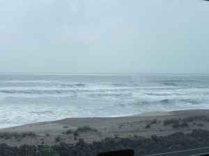 Cannot have enough of ocean