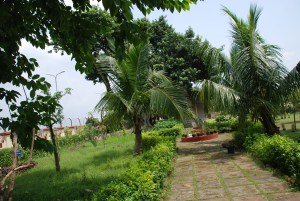 Path to Totapuri's Hut - 1